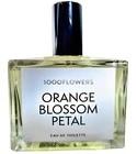 Orange Blossom Petal