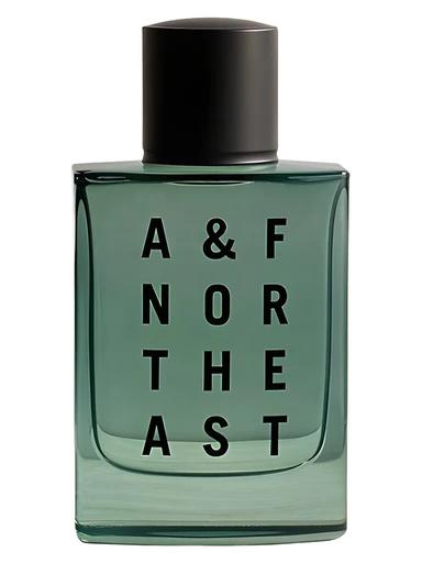 A & F Northeast Abercrombie & Fitch for men