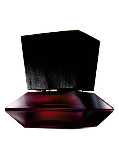 Private Collection Freesia