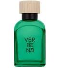 Verbena Hombre Adolfo Dominguez for men