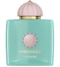 Lineage Amouage for women and men