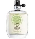 Fresh Citrus Avon for men