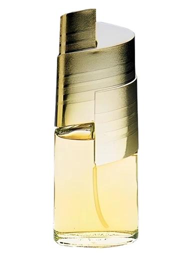 Pavi Elle Avon for women