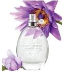 Scent Essence Blooming Lotus