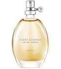 Scent Essence - Velvet Amber Avon for women