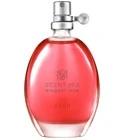 Scent Mix Elegant Rose Avon for women