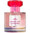 Among The Clouds