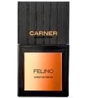 Felino