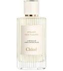 Hibiscus Abelmoschus Chloé for women