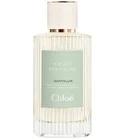 Santalum Chloé for women and men