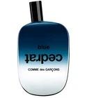 Blue Cedrat Comme des Garcons for women and men