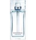 Homme Cologne 2013