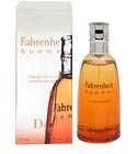 Fahrenheit Summer 2007 Dior for men