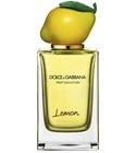 Lemon Dolce&Gabbana for women and men