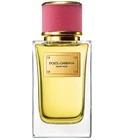 Velvet Rose Dolce&Gabbana for women
