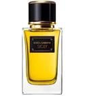 Velvet Sicily Dolce&Gabbana for women
