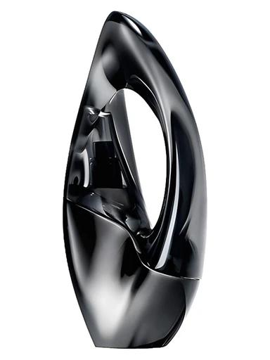 Woman Donna Karan for women