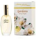 Gardenia