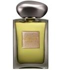 Sable Fume Giorgio Armani for women and men