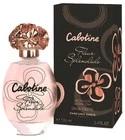 Cabotine Fleur Splendide