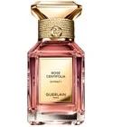 Rose Centifolia Extrait 1 Guerlain for women and men