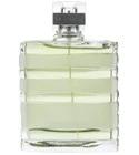 Vetiver Frozen Fragrance
