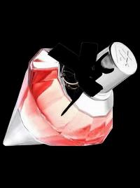 Love Never Dies Night Dream