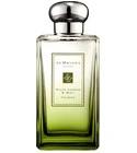 London Rain White Jasmine & Mint Jo Malone London for women and men