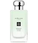 Osmanthus Cologne Jo Malone London for women and men