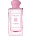 Silk Blossom Cologne (2019) Jo Malone London for women and men