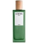 Agua Miami Loewe for women and men