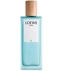 Agua de Loewe El Loewe for men