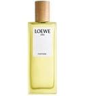 Aire Fantasía Loewe for women