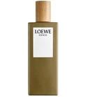 Esencia pour Homme Loewe for men