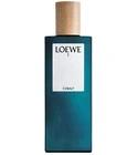 Loewe 7 Cobalt Loewe for men