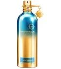 Day Dreams Montale for women and men