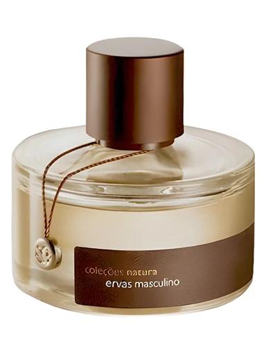 Ervas Masculino