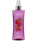 Body Fantasies Signature Raspberry