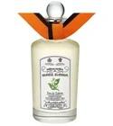 Orange Blossom Penhaligon's for women