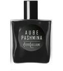 Aube Pashmina