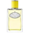 Infusion d'Ylang Prada for women and men