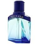 Aqua di Aqua Homme