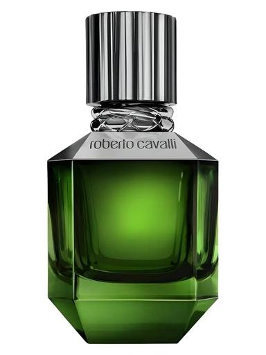 Paradise Found For Men Roberto Cavalli for men