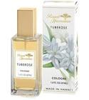 Tuberose