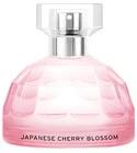 Japanese Cherry Blossom