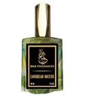 Caribbean Waters The Dua Brand for women and men