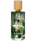 Tale Of Narcissus The Dua Brand for women and men