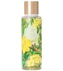 Wild Willow Victoria's Secret for women