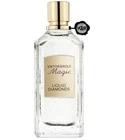 Liquid Diamonds Viktor&Rolf for women and men