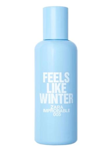 005 Feels Like Winter Zara for women